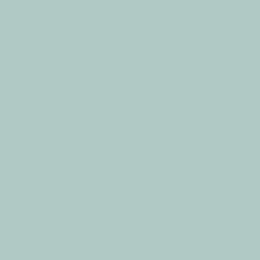 Menta matt Indent(1)